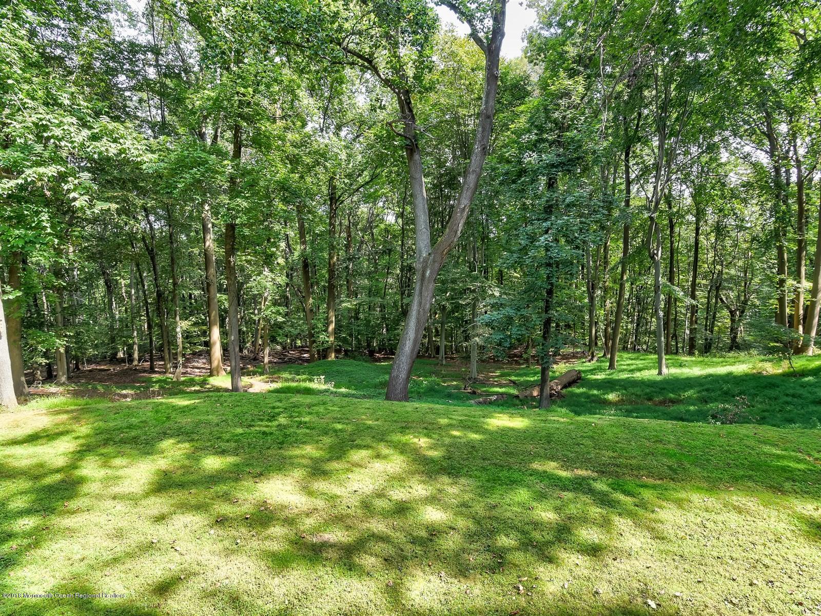 76 Reids Hill Road Morganville, NJ 07751 - Photo 35 of 36 036_Backyard