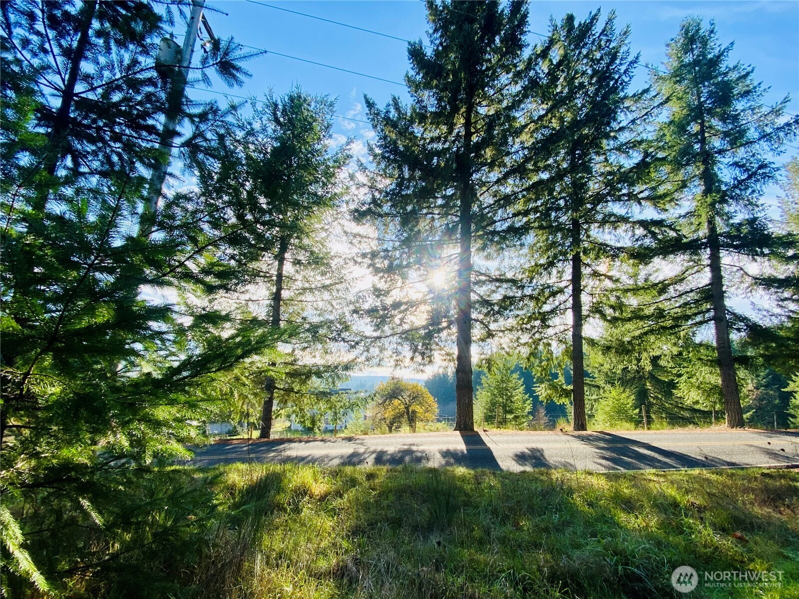 0 Lincoln Creek Road Rochester, WA 98579 - Photo 2 of 12 Gallery Image 2