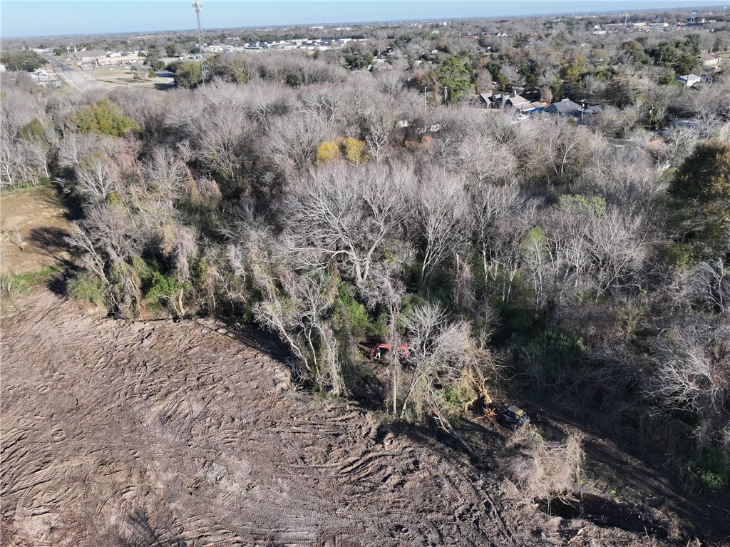 0 Eureka Street Bryan, TX 77803 - Photo 8 of 9 a view of a yard with a tree