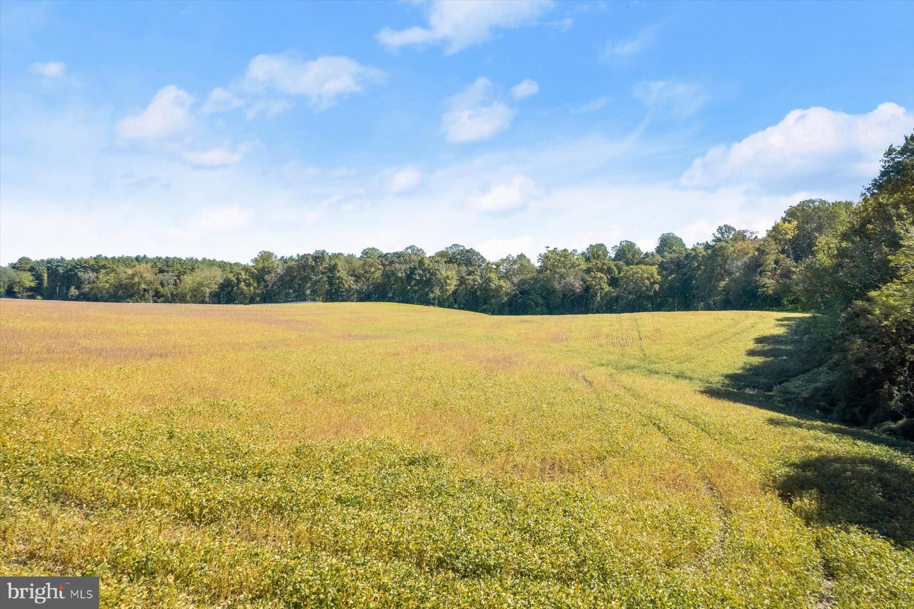 Annapolis Rock Road Woodbine, MD 21797 - Photo 9 of 22 Ground View