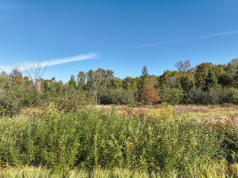 0 Pleasant Ridge Road Weyerhaeuser, WI 54895 - Photo 1 of 1 Gallery Image 1