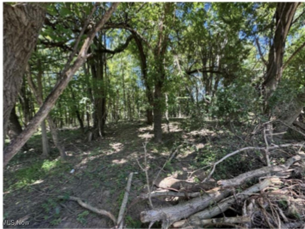 Whittlesey Road Amherst, OH 44001 - Photo 3 of 6 Gallery Image 3