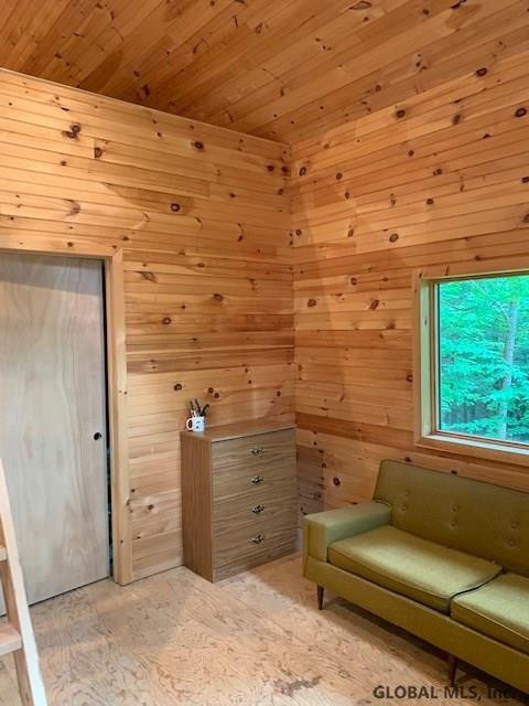 193 Hendricks Road Bolton, NY 12885 - Photo 8 of 16 Photo 8