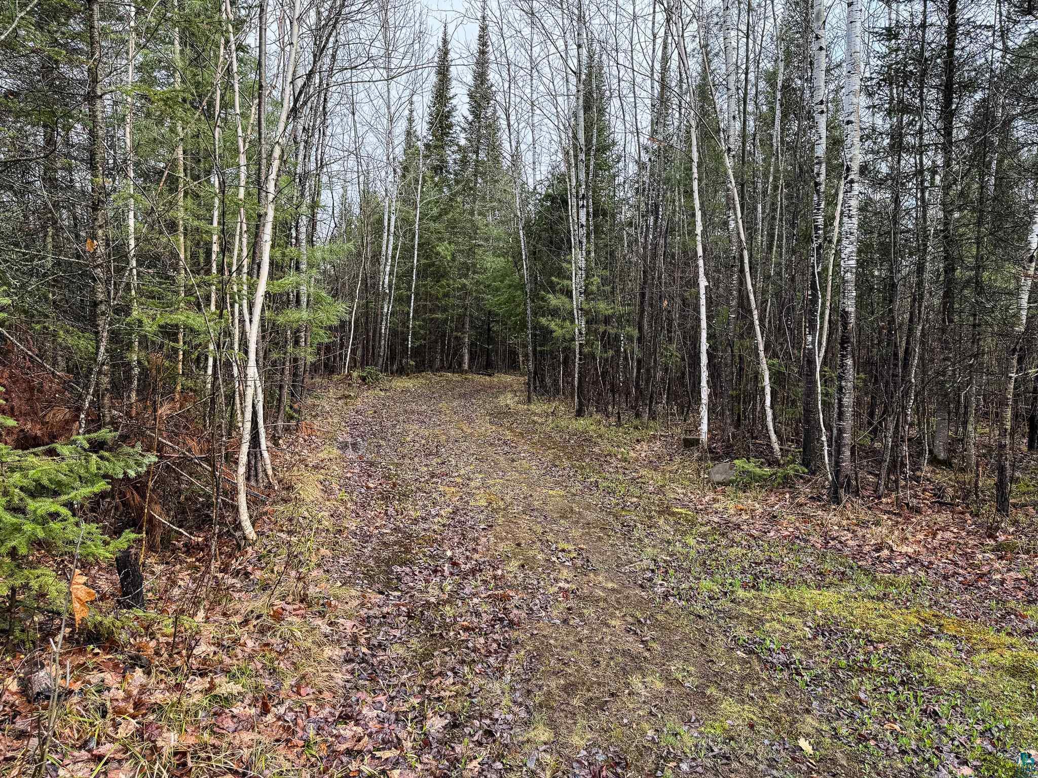 7499 Ramel Road Solon Springs, WI 54873 - Photo 25 of 35