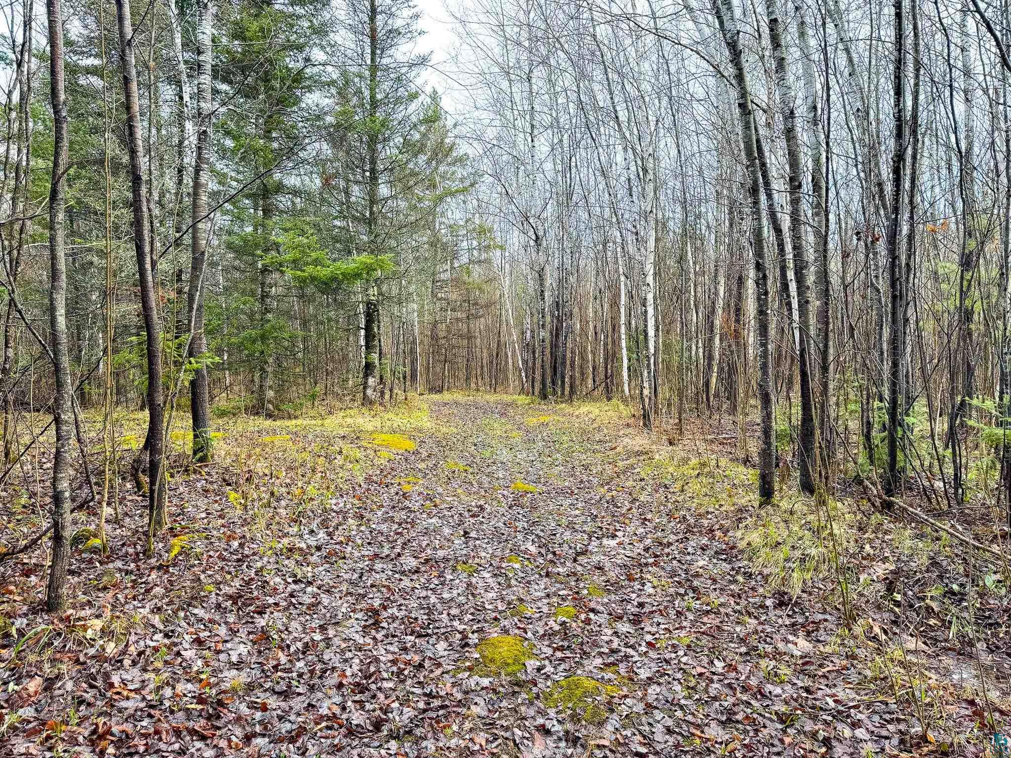 7499 Ramel Road Solon Springs, WI 54873 - Photo 26 of 35