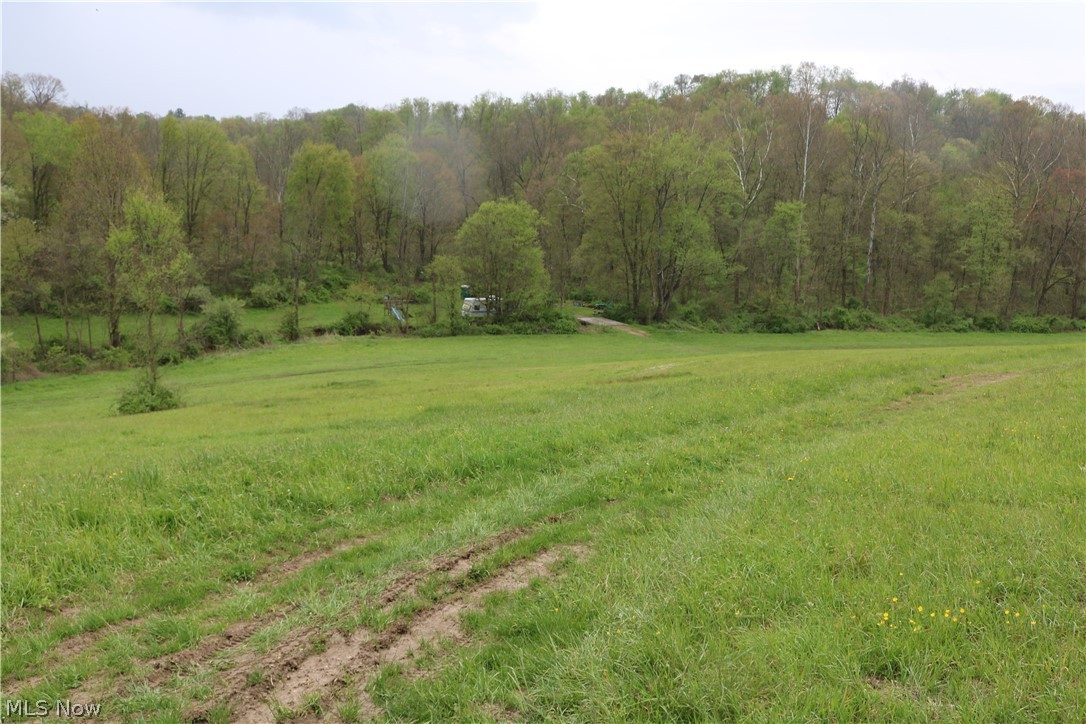 245 Township Road Newcomerstown, OH 43832 - Photo 6 of 8 Gallery Image 6