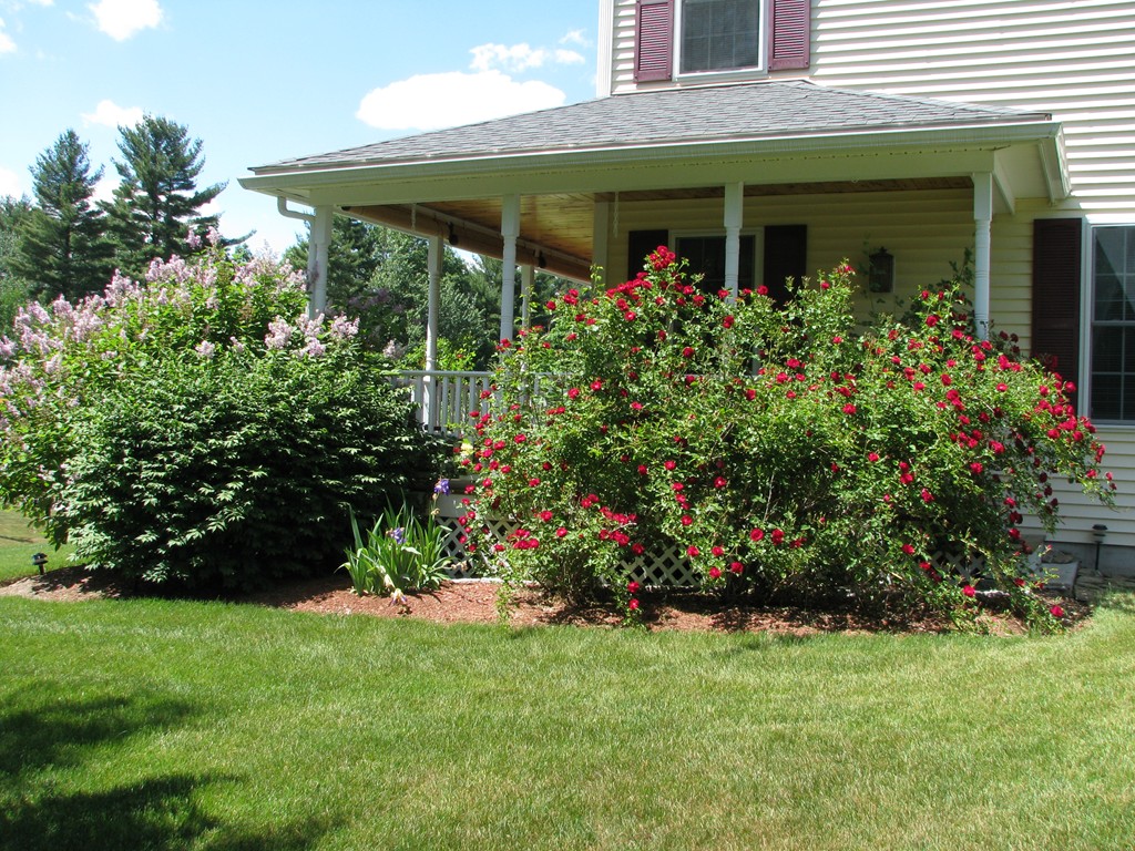 4 Jamie Road Dunstable, MA 01827 - Photo 25 of 25 Gallery Image 25