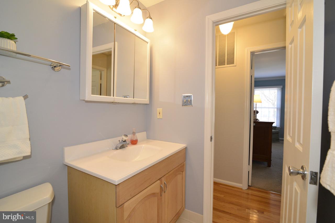 13366 Point Rider Lane Herndon, VA 20171 - Photo 22 of 40 Upper Hall Bath Other View