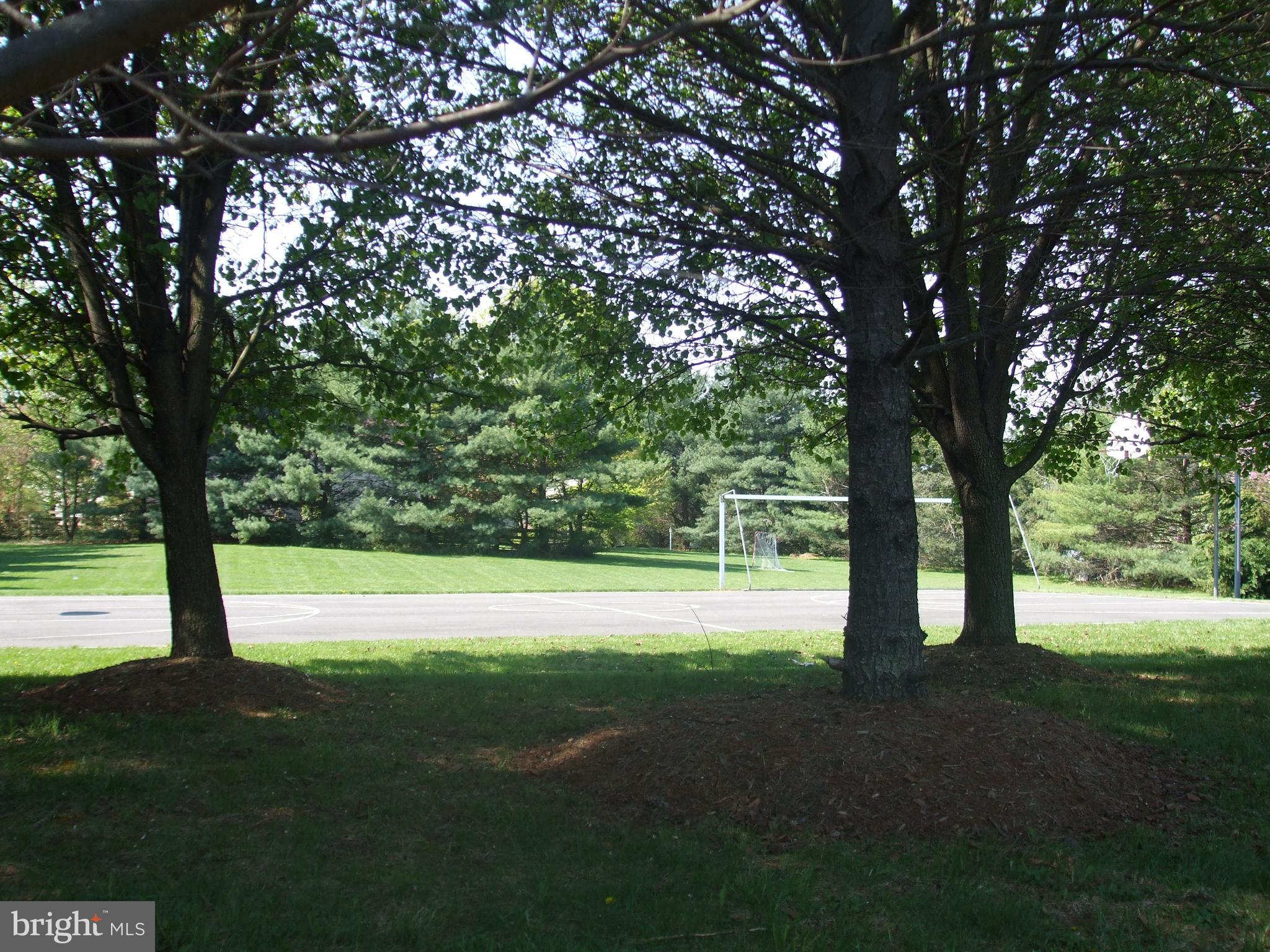 13366 Point Rider Lane Herndon, VA 20171 - Photo 37 of 40 Common Green Space in Front of the Community