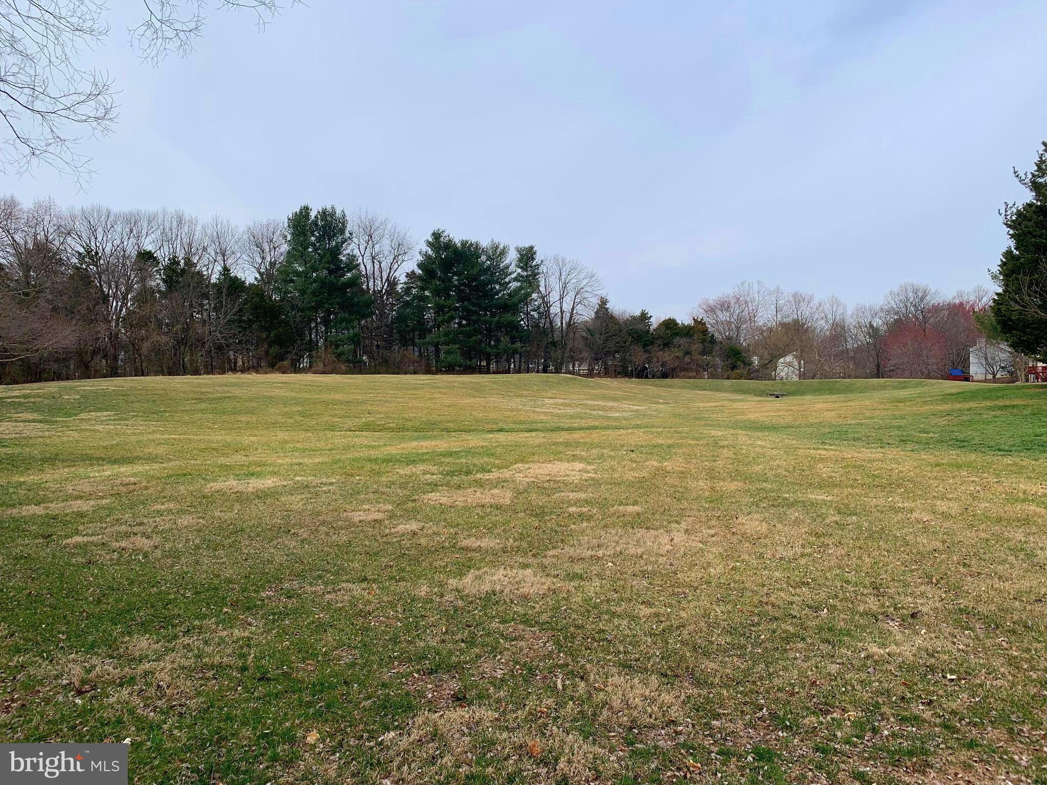 13366 Point Rider Lane Herndon, VA 20171 - Photo 39 of 40 Common Green Space in Rear of the Community