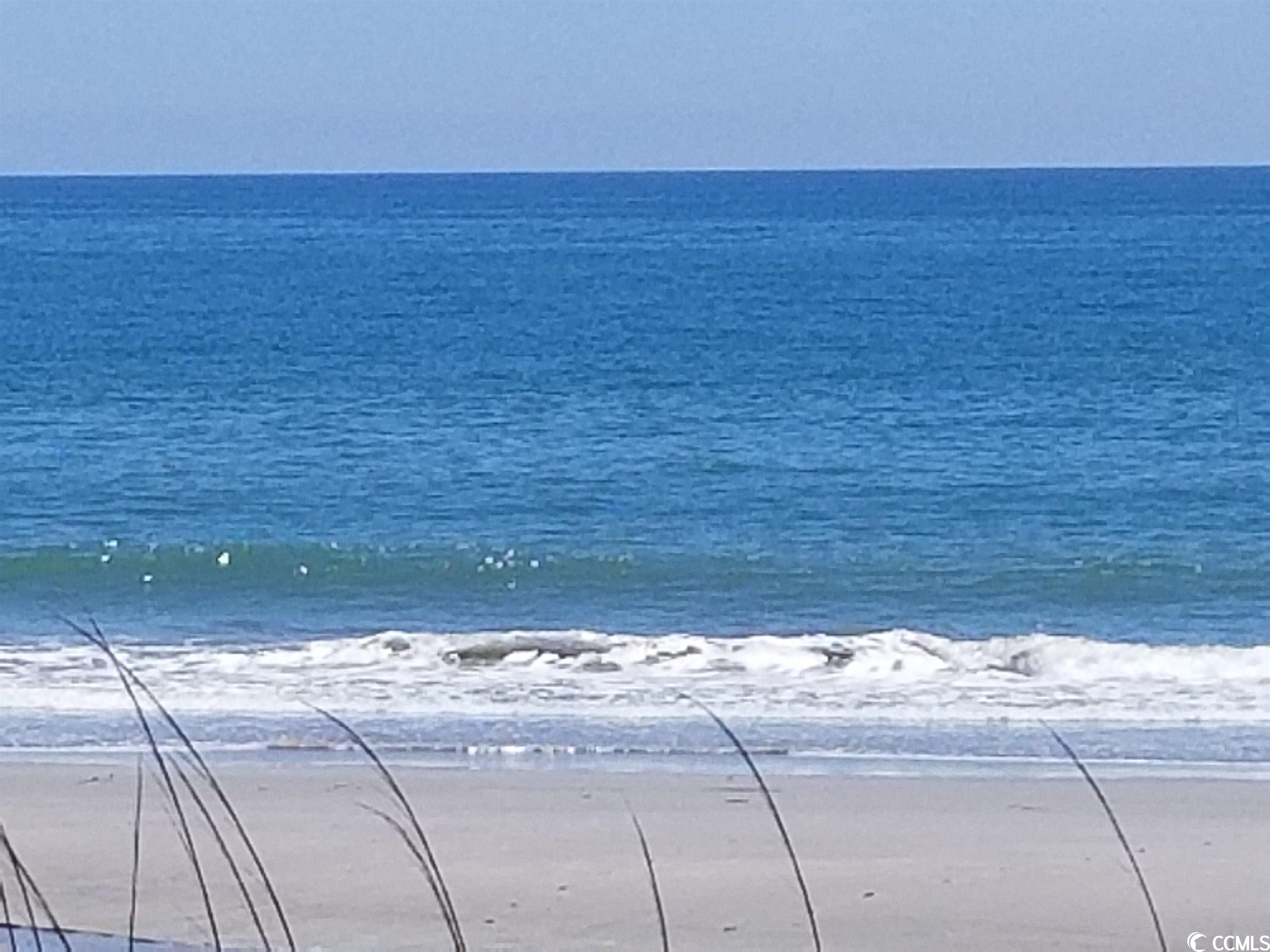 2997 Highway 129 Aynor, SC 29544 - Photo 40 of 40