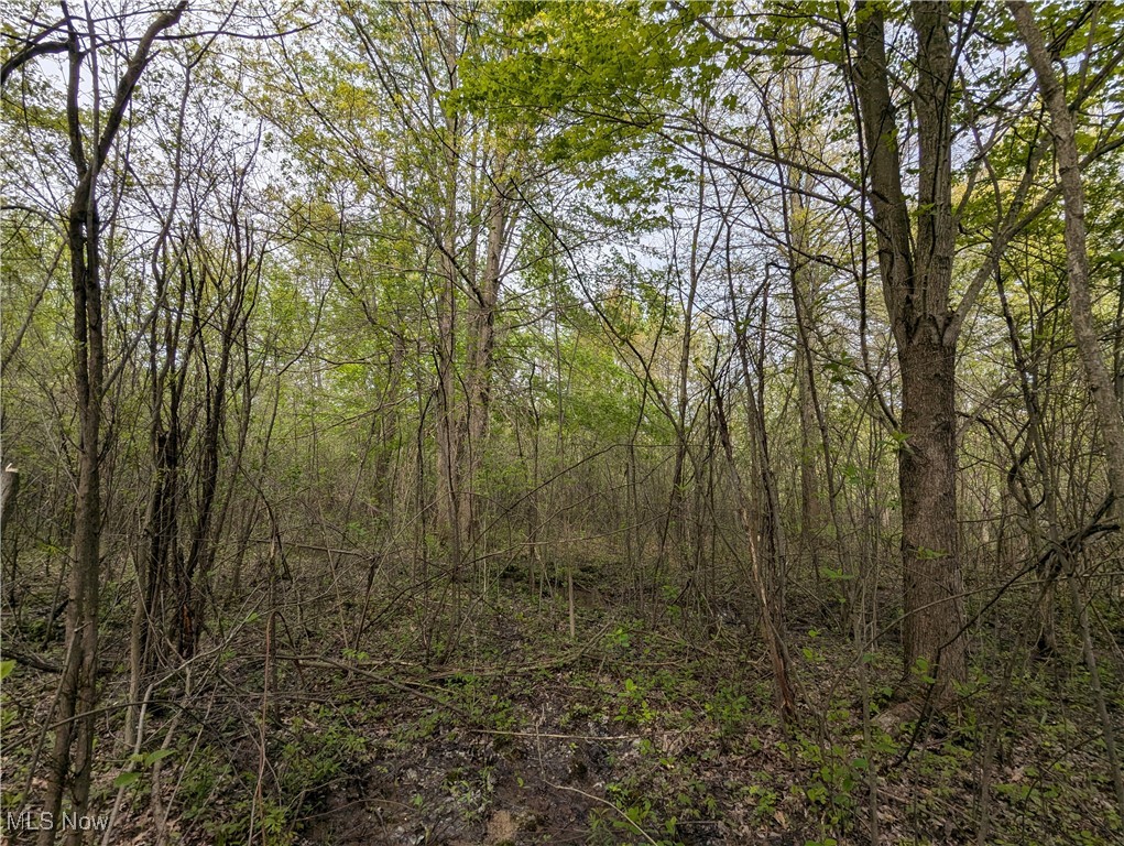 Gore Road Ashtabula, OH 44004 - Photo 5 of 13