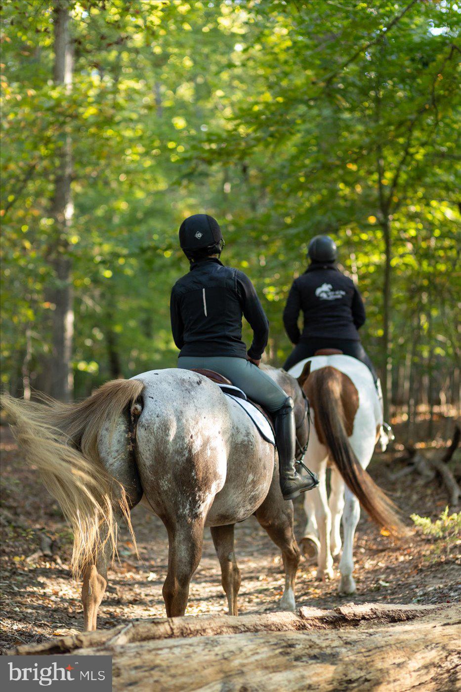 537 Monticello Circle Locust Grove, VA 22508 - Photo 84 of 107