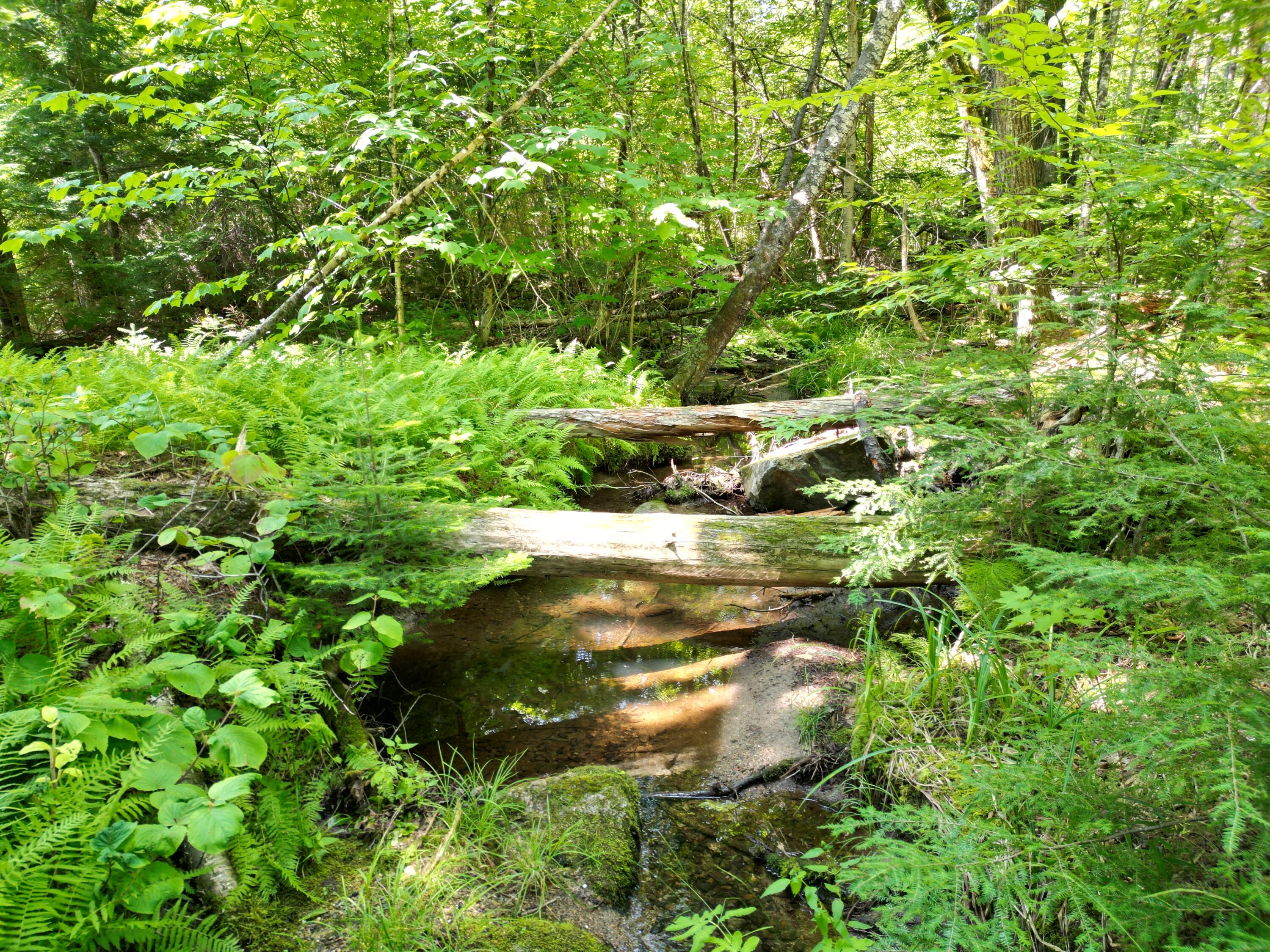 Lot 37 Dipper Pond Road Carroll Plt, ME 04487 - Photo 9 of 19 DJI_0889