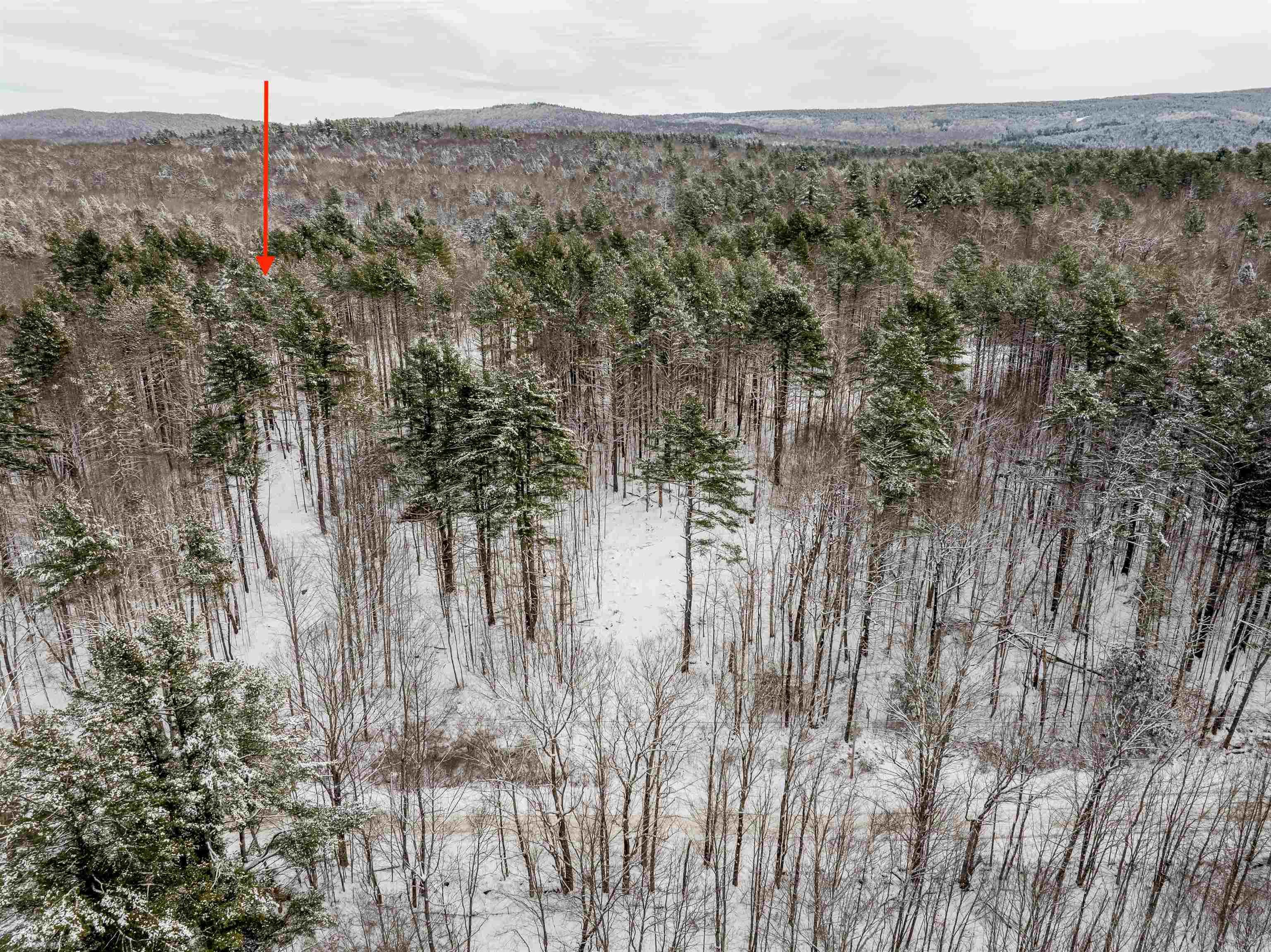 3.3 Bean Road Plainfield, NH 03781 - Photo 2 of 8