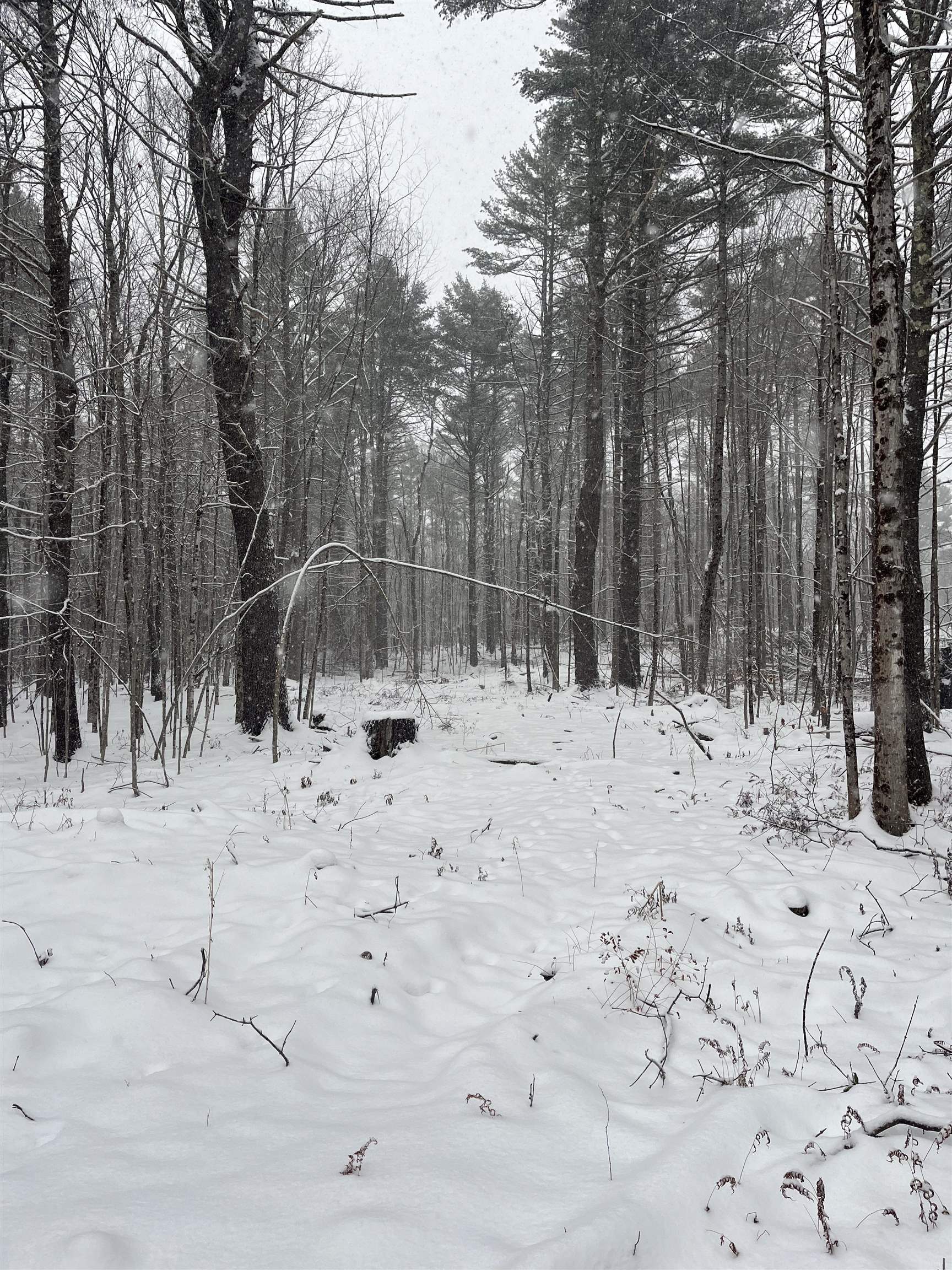 3.3 Bean Road Plainfield, NH 03781 - Photo 6 of 8