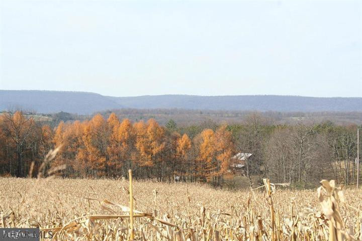 - Colonel Fetters Road Clearville, PA 15535 - Photo 9 of 25