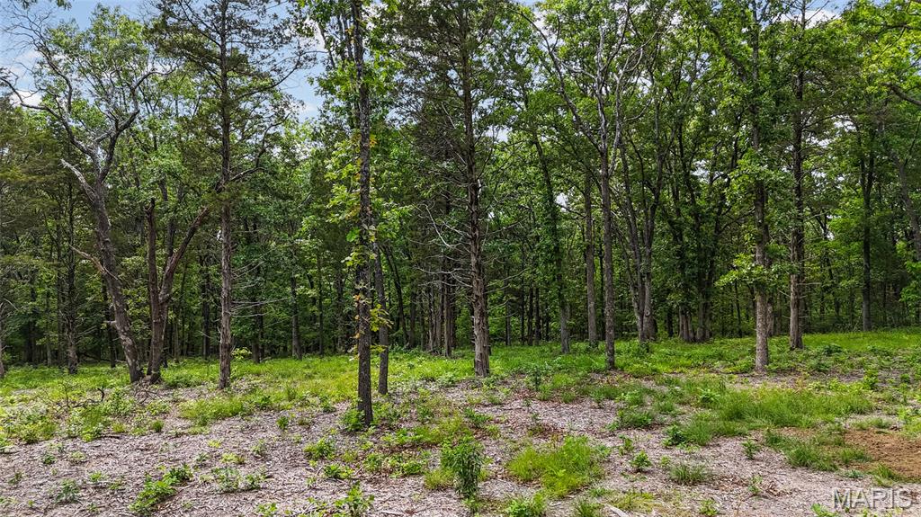 299 Whitetail Ridge Dittmer, MO 63023 - Photo 9 of 19