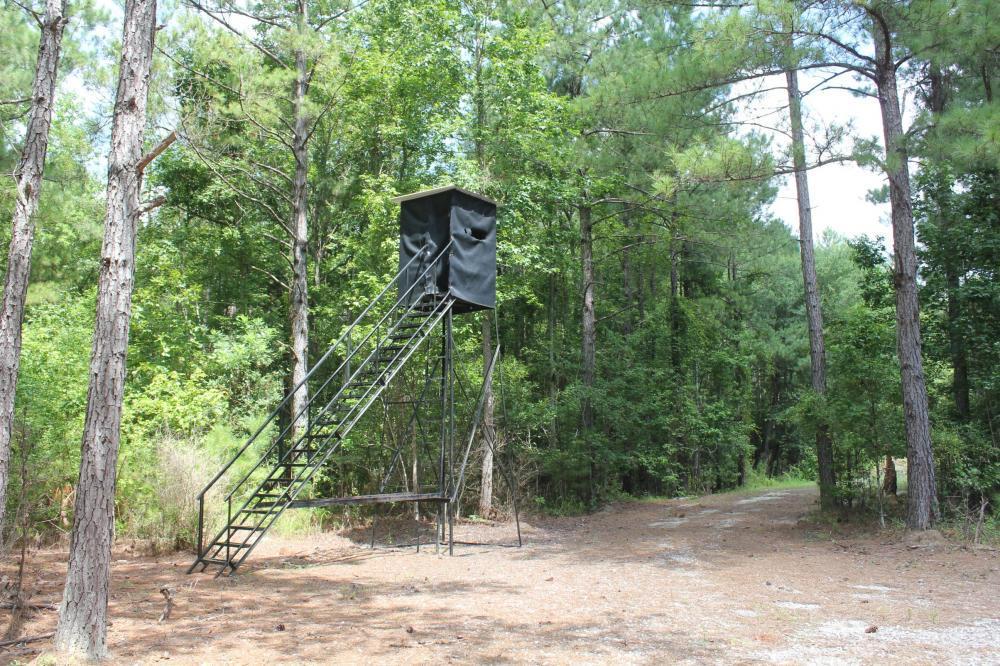 0 Strong Road Andrews, SC 29510 - Photo 4 of 11 4
