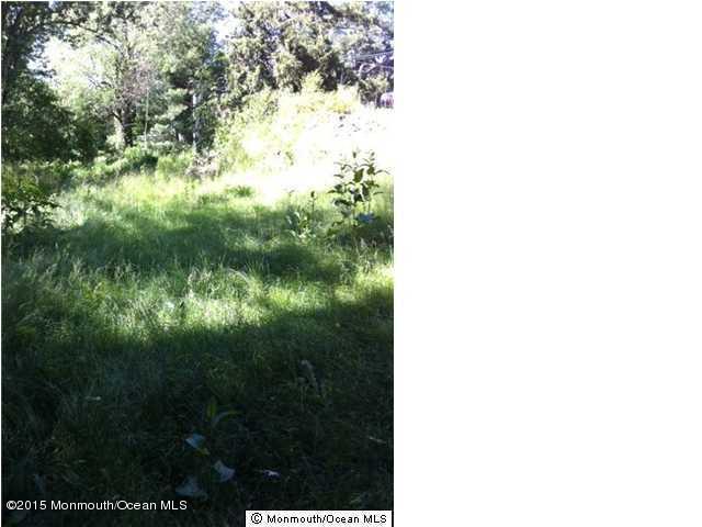 51-53 Imlaystown Road Cream Ridge, NJ 08514 - Photo 2 of 6 a view of a yard