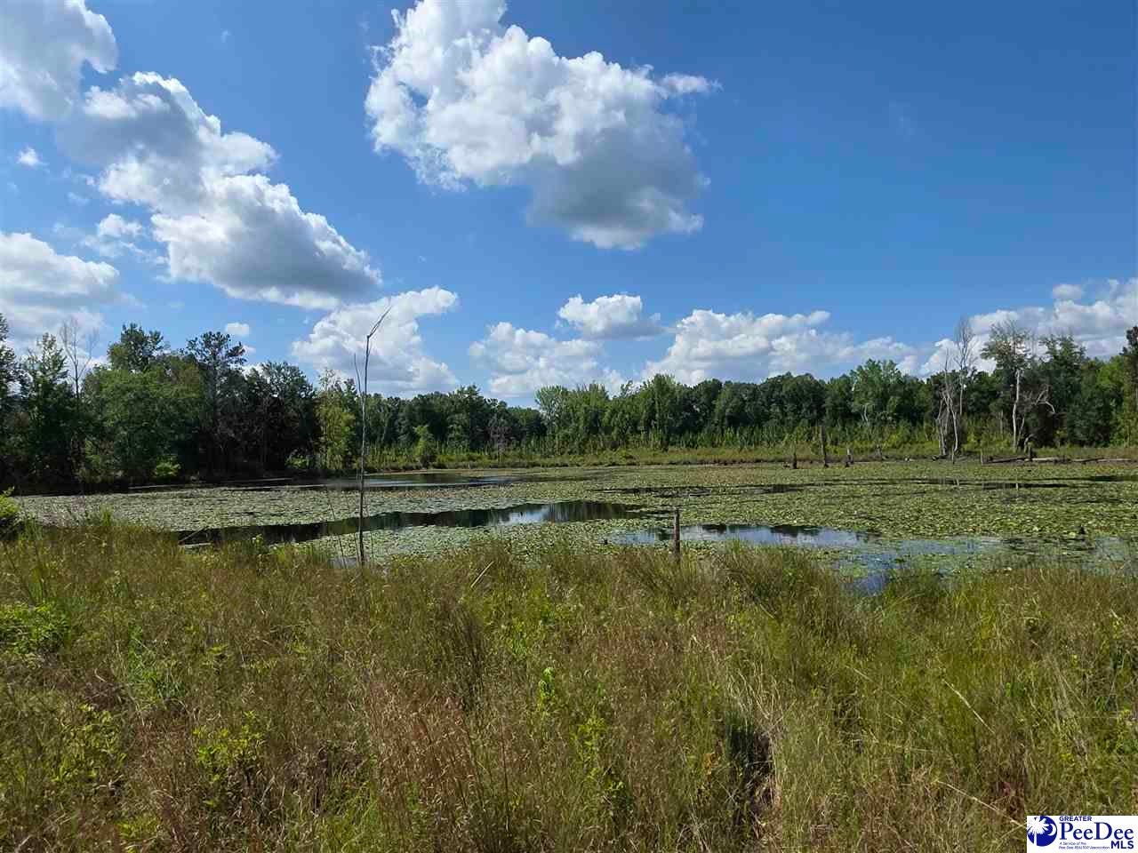 0 Hillian-Edwards Road Cheraw, SC 29520 - Photo 19 of 28 Gallery Image 19