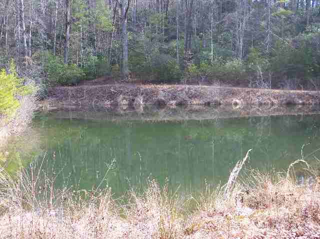 N/side Mill Creek Road Sunset, SC 29685 - Photo 1 of 12 Gallery Image 1