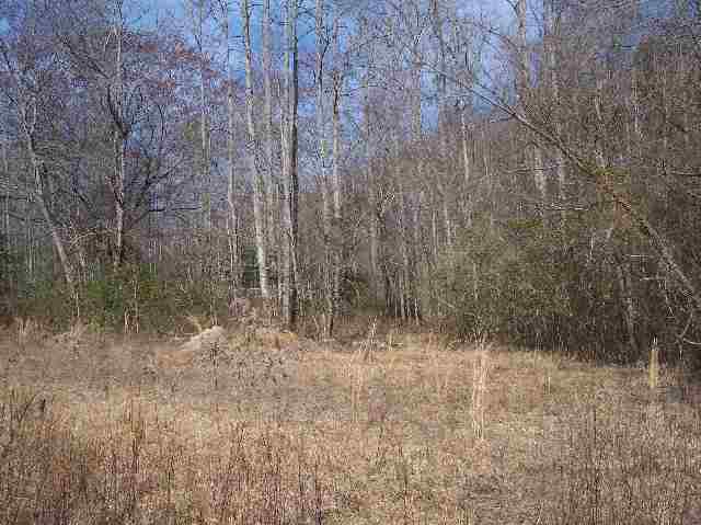 N/side Mill Creek Road Sunset, SC 29685 - Photo 2 of 12 Gallery Image 2