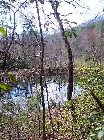 N/side Mill Creek Road Sunset, SC 29685 - Photo 11 of 12 Gallery Image 11