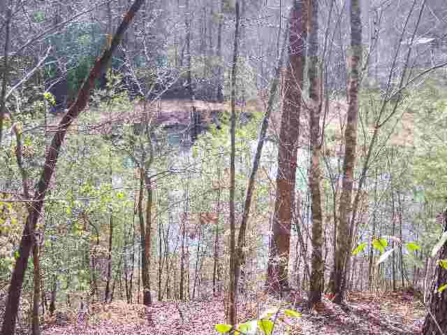 N/side Mill Creek Road Sunset, SC 29685 - Photo 3 of 12 Gallery Image 3
