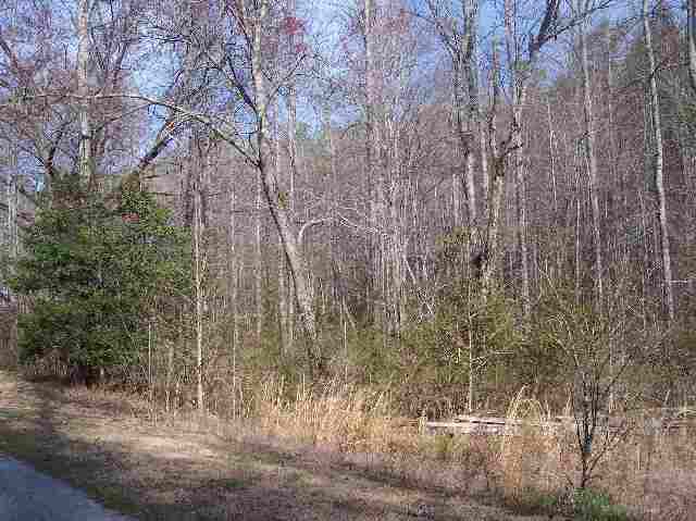 N/side Mill Creek Road Sunset, SC 29685 - Photo 5 of 12 Gallery Image 5