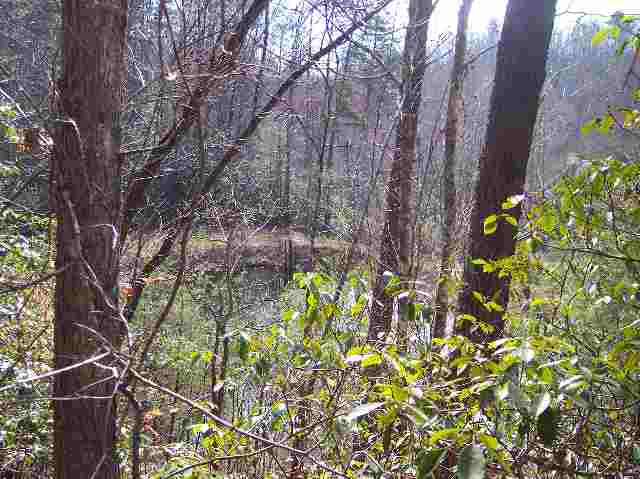 N/side Mill Creek Road Sunset, SC 29685 - Photo 6 of 12 Gallery Image 6