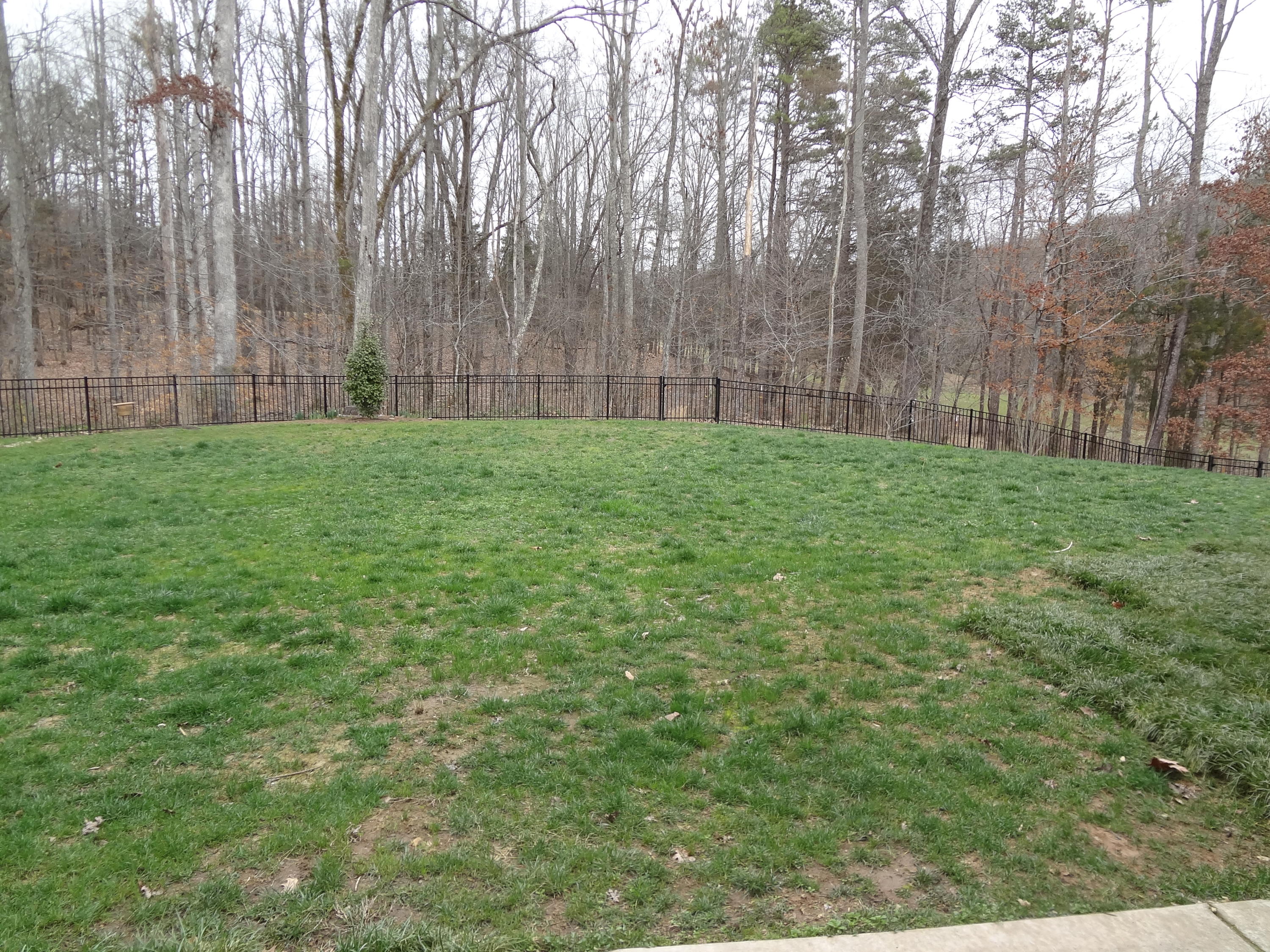 11616 Edison Road Knoxville, TN 37932 - Photo 37 of 40 Back yard