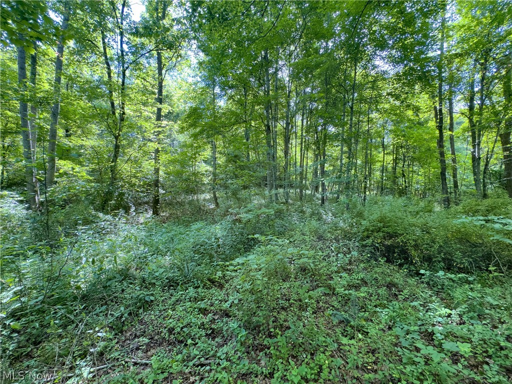 5 Jake Road Patriot, OH 45658 - Photo 13 of 17