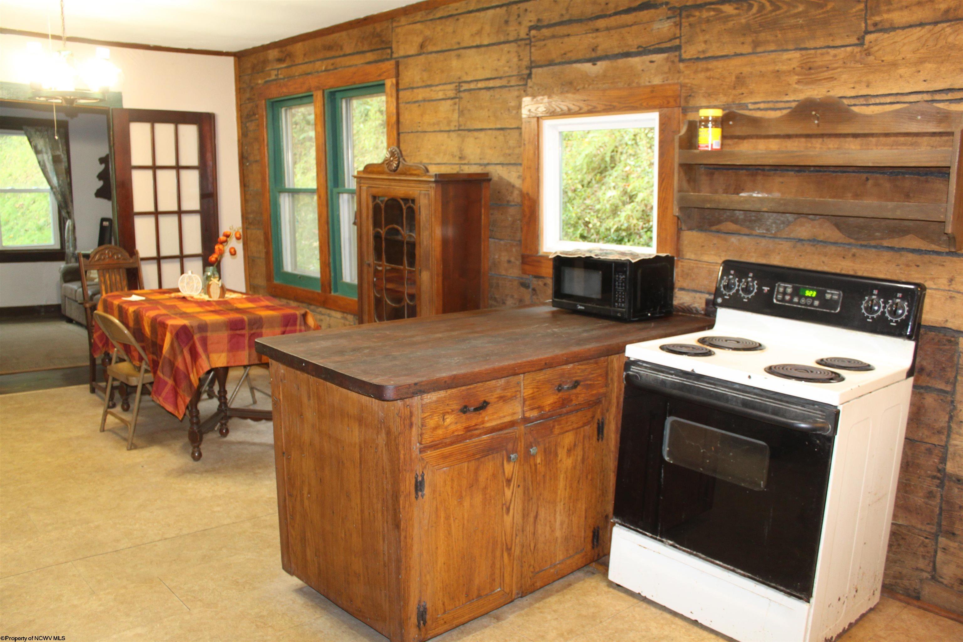 455 Co Rte 15/4 Webster Springs, WV 26288 - Photo 3 of 27 Gallery Image 3