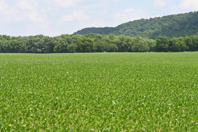 $650,000 | 0 Hartford Pike, Aurora, IN 47001