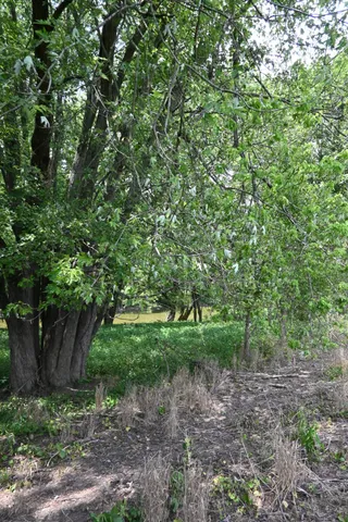 $650,000 | 0 Hartford Pike, Aurora, IN 47001