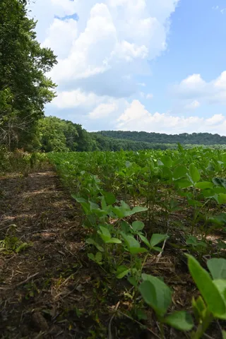 $650,000 | 0 Hartford Pike, Aurora, IN 47001