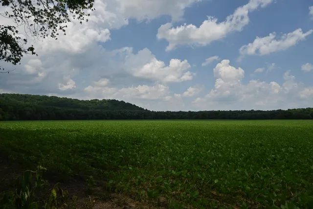 $650,000 | 0 Hartford Pike, Aurora, IN 47001