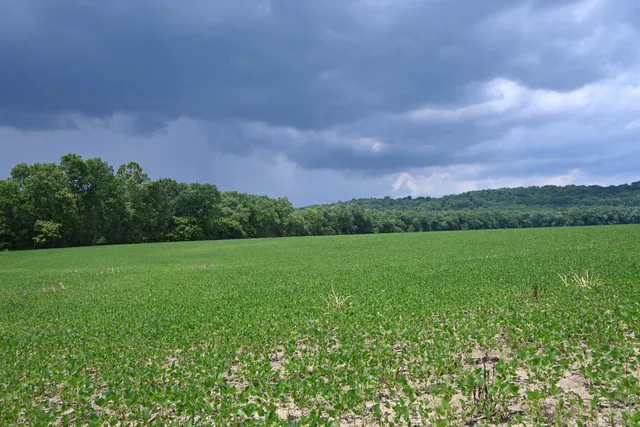 $650,000 | 0 Hartford Pike, Aurora, IN 47001