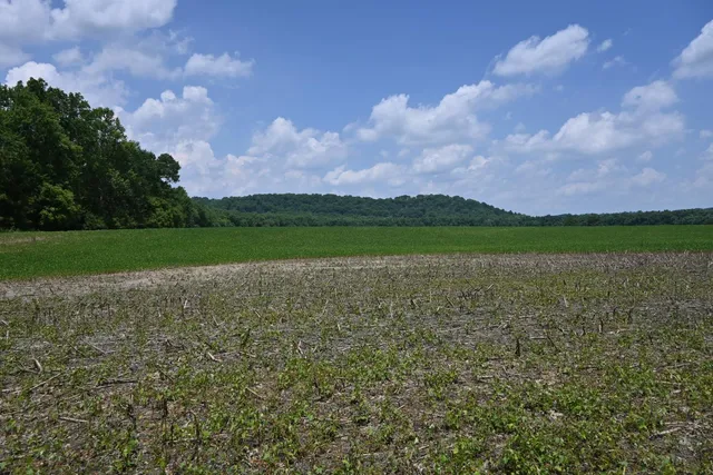 $650,000 | 0 Hartford Pike, Aurora, IN 47001