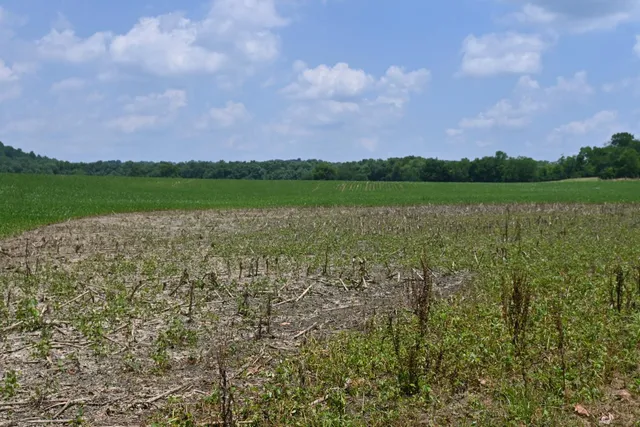 $650,000 | 0 Hartford Pike, Aurora, IN 47001