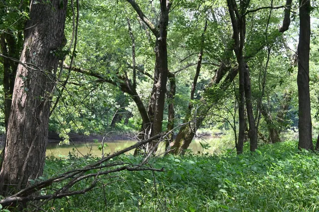 $650,000 | 0 Hartford Pike, Aurora, IN 47001