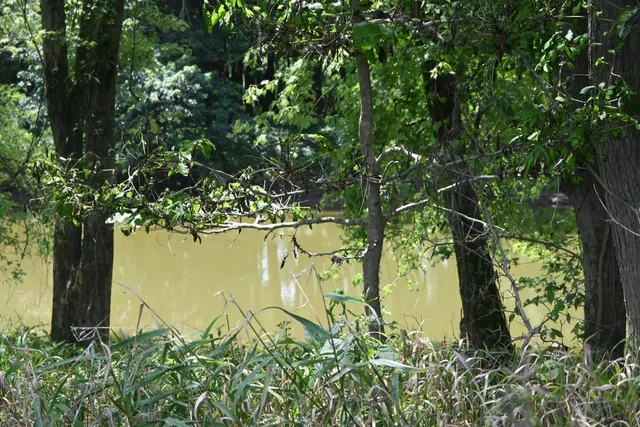 $650,000 | 0 Hartford Pike, Aurora, IN 47001