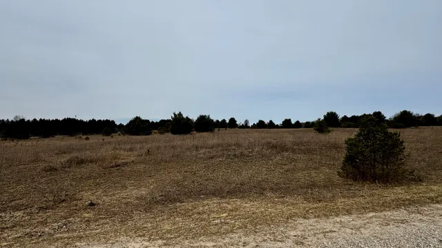 $16,000 | Lot #17 Wedgewood Court, Cadillac, MI 49601