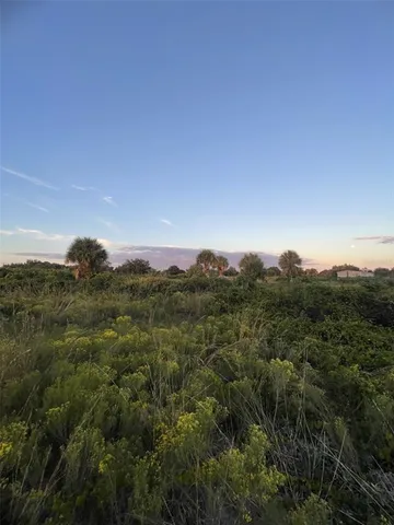 a black and white photo of a book