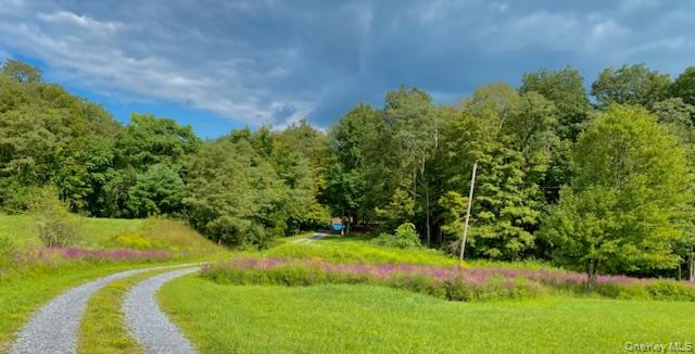 78 Rymph Road Staatsburg, NY 12580 - Photo 33 of 35