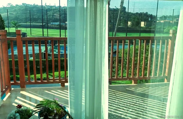 a view of a swimming pool with a garden and plants