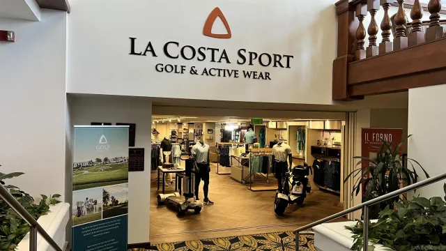 a view of a backyard with a fountain and plants