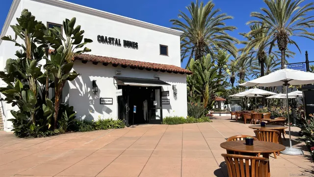 a view of a park with plants and trees