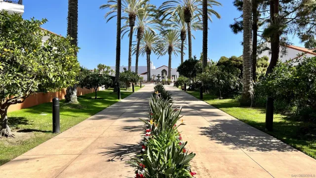 a view of a park with palm trees
